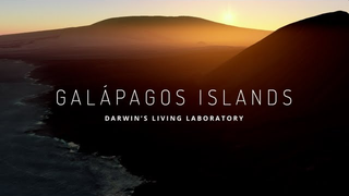Explore the Galápagos Islands on Google Street View